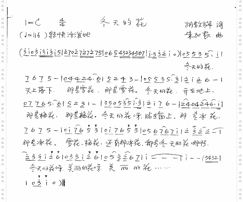 冬天的花