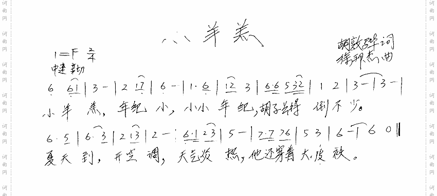 小羊羔