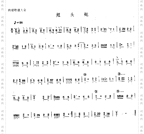 短头蛇