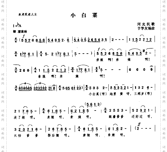 小白菜