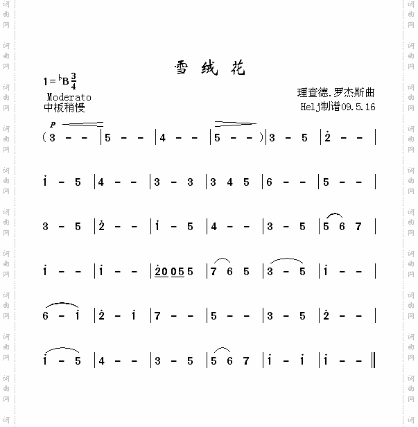 雪绒花
