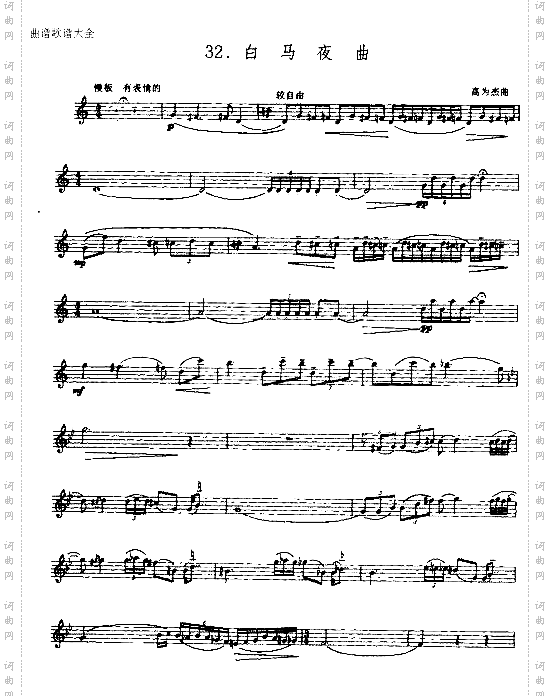 白马夜曲
