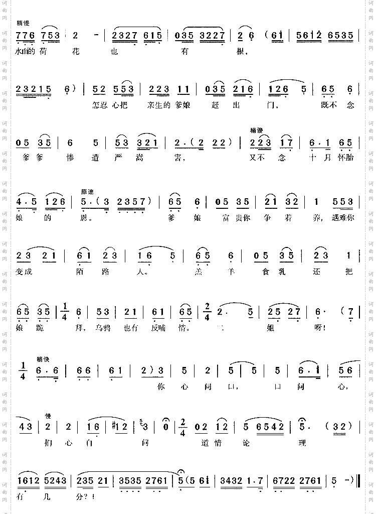 水面的荷花也有根2