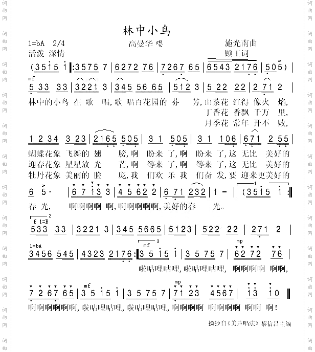 林中小鸟