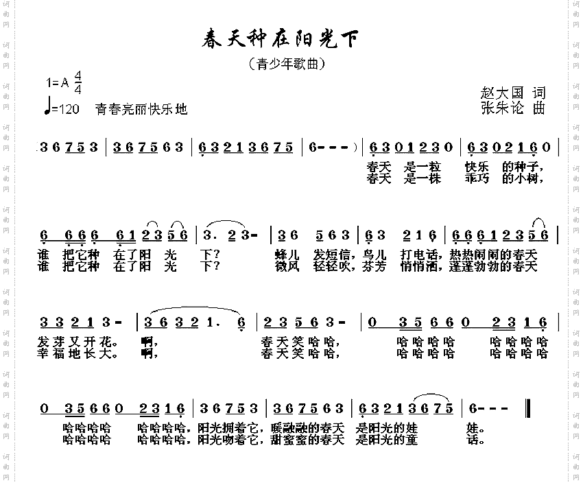 春天种在阳光下