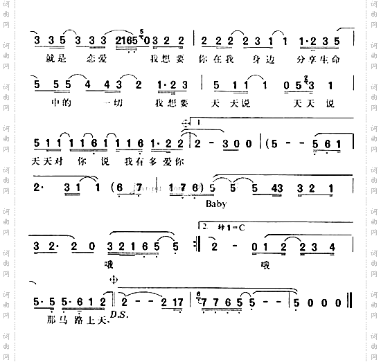 天天