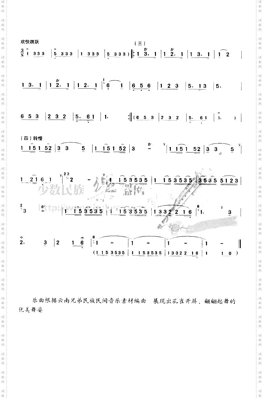 欢快的金孔雀