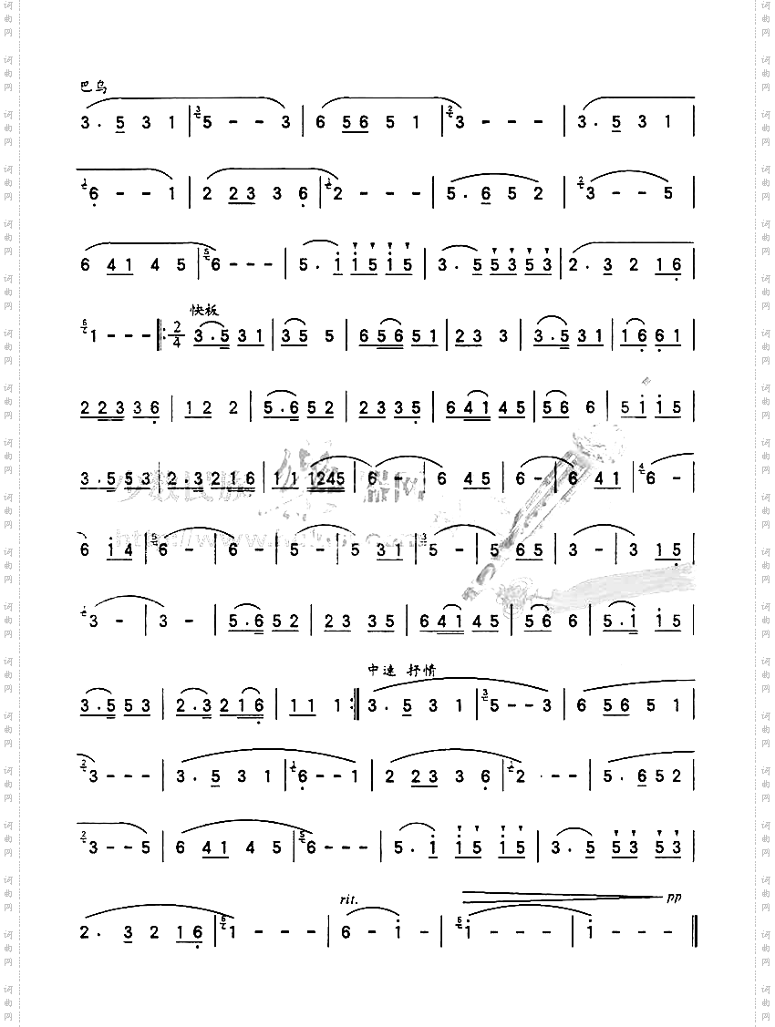 水之韵