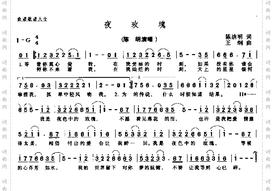 夜玫瑰