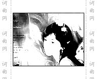 铃兰