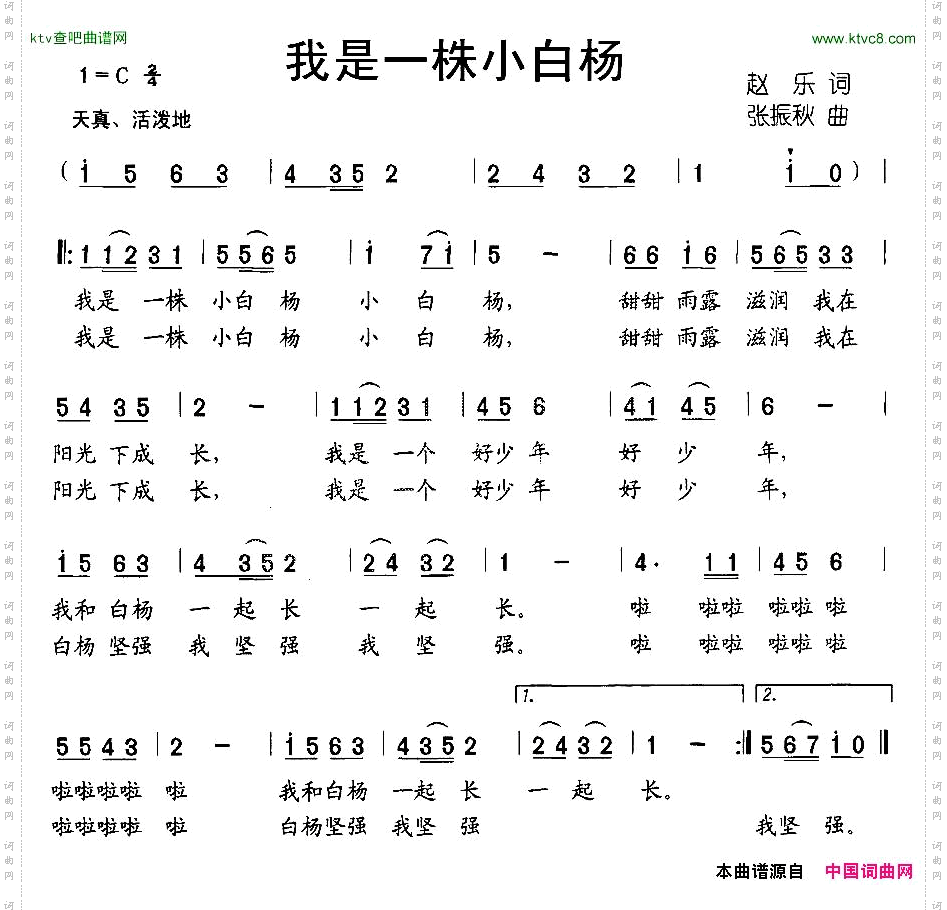 我是一株小白杨