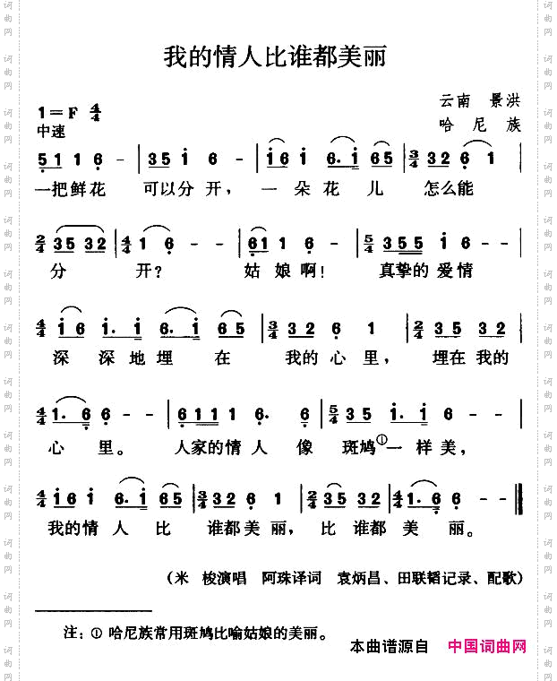 我的情人比谁都美丽
