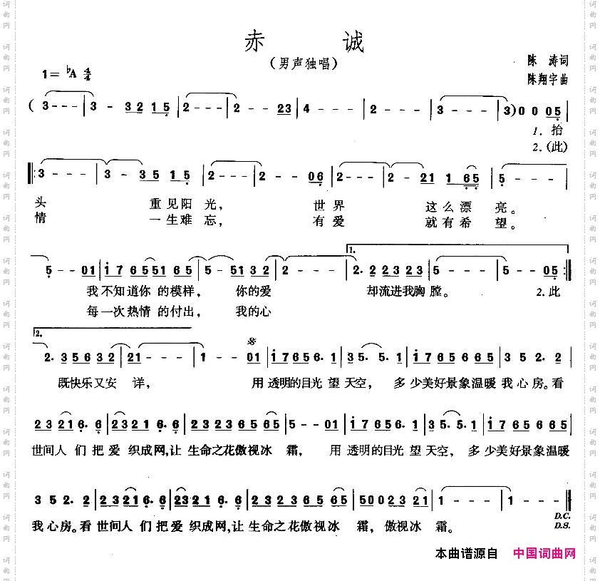 赤诚