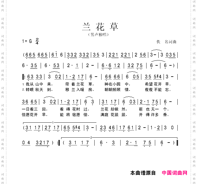 兰花草