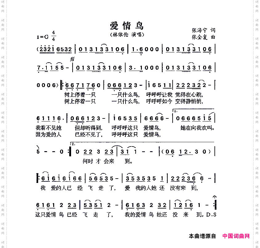 爱情鸟