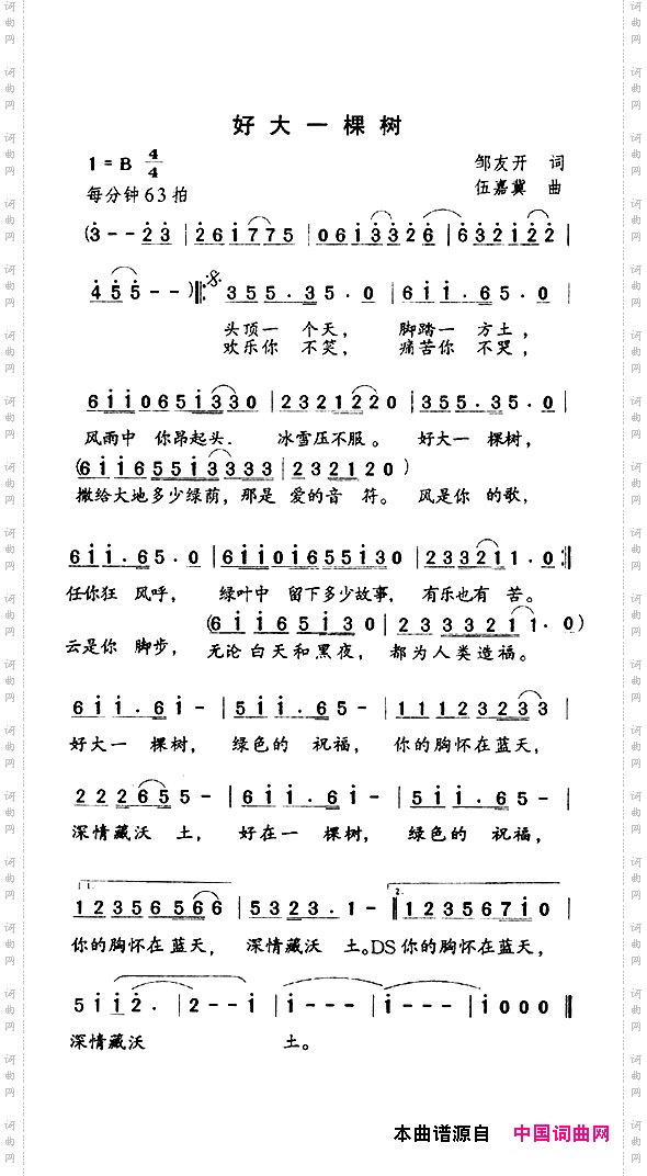 好大一棵树