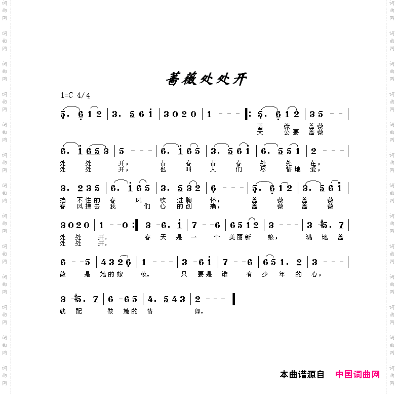 蔷薇处处开