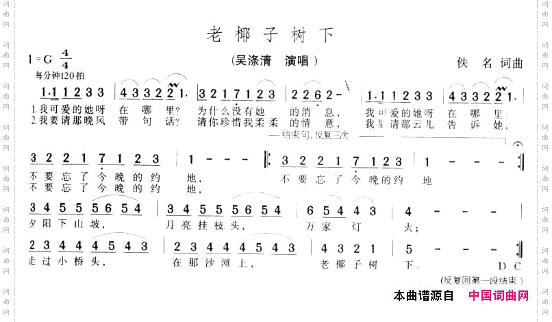 老椰子树下