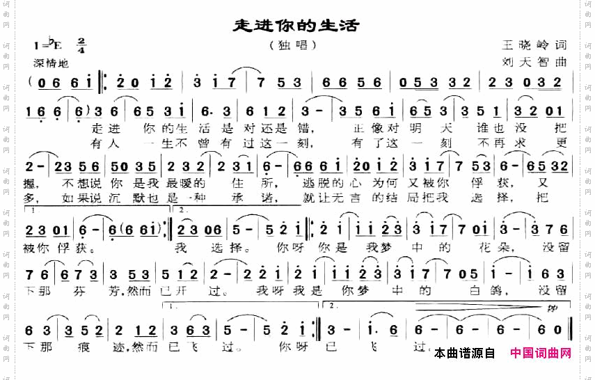 走进你的生活