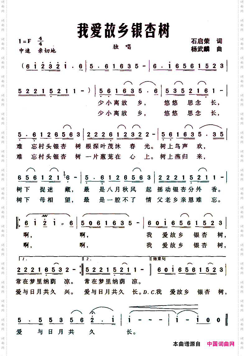 我爱故乡银杏树