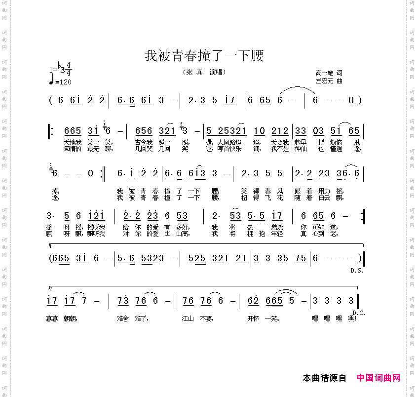 我被青春撞了一下腰