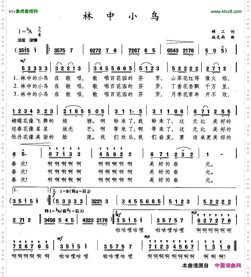 林中小鸟