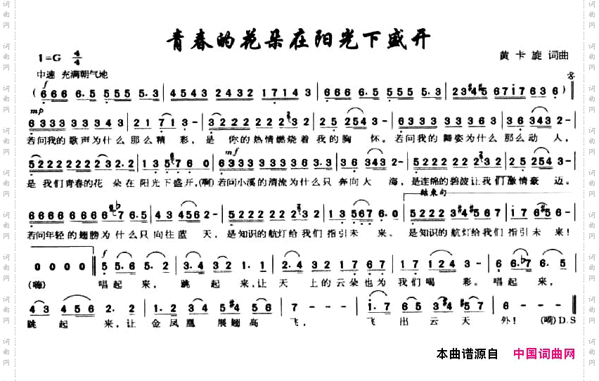 青春的花朵在阳光下盛开