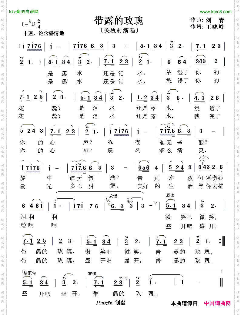 带露的玫瑰
