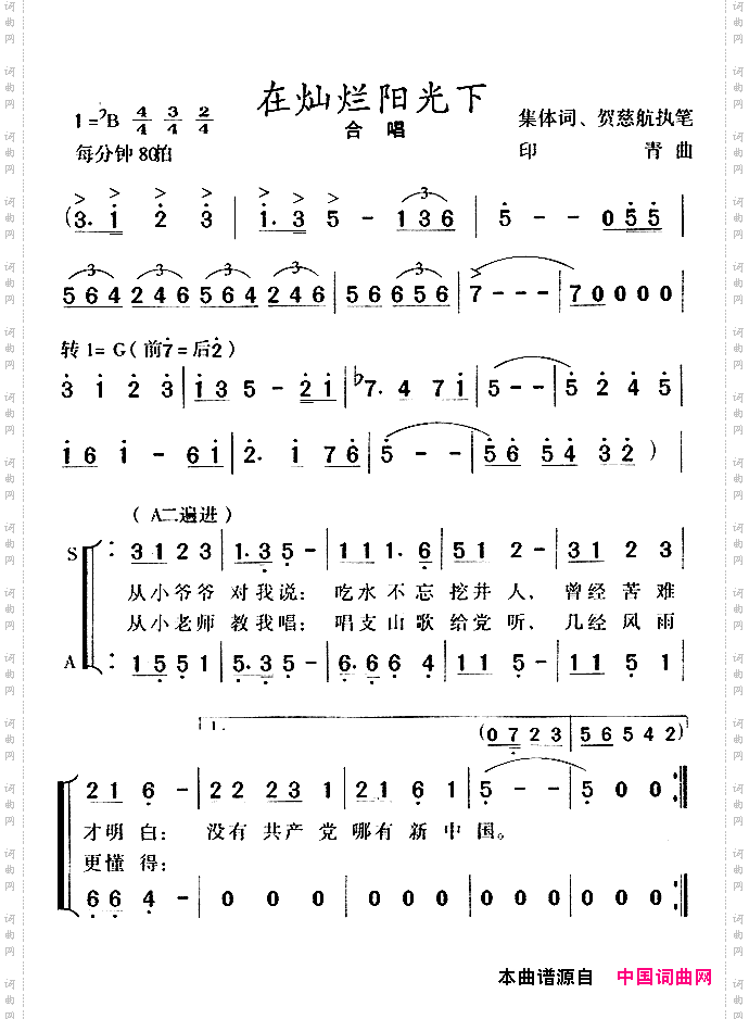 在灿烂阳光下