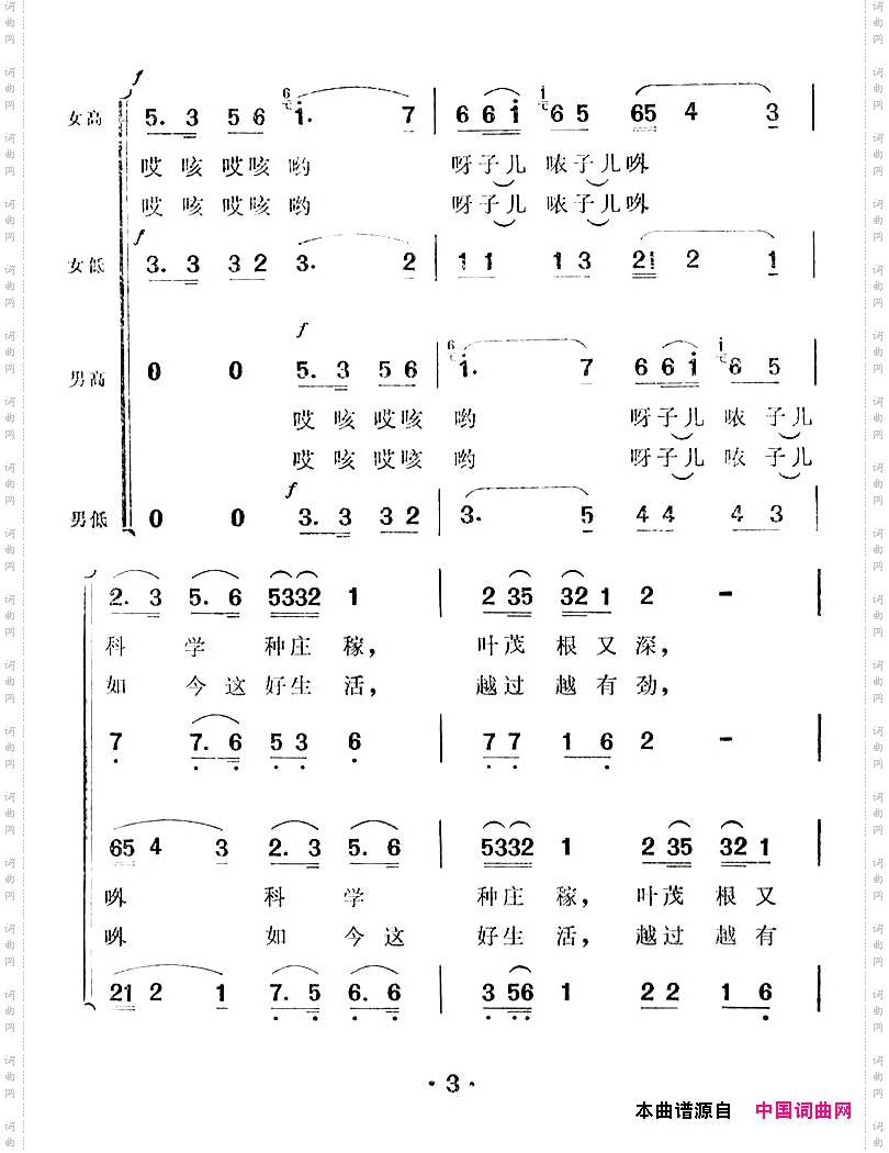 幸福的日子扎下根
