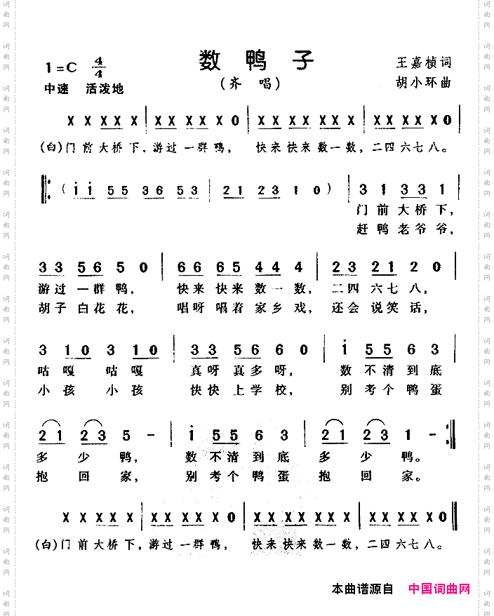 数鸭子