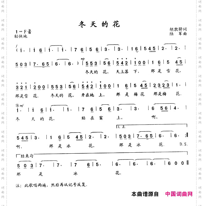冬天的花