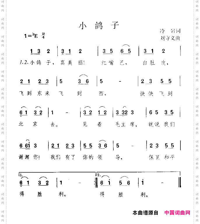 小鸽子