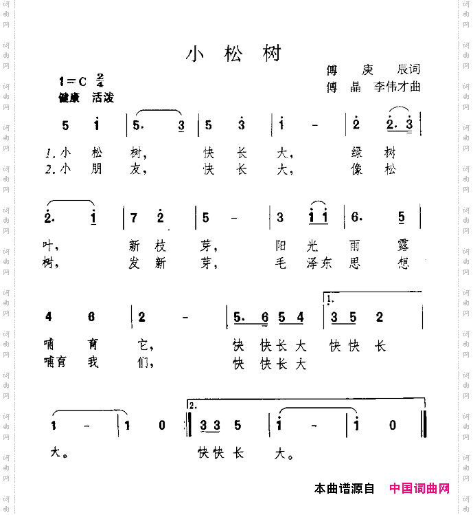 小松树