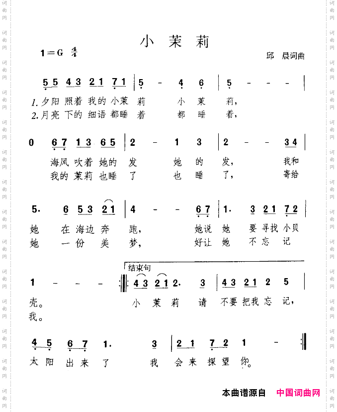 小茉莉