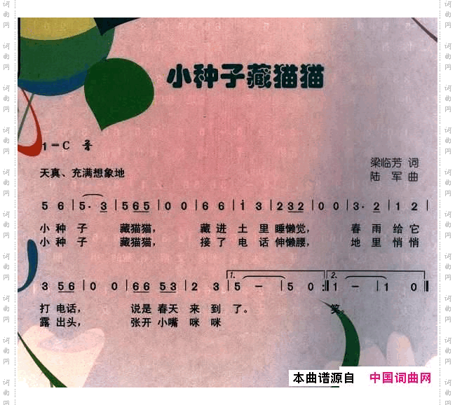 小种子藏猫猫