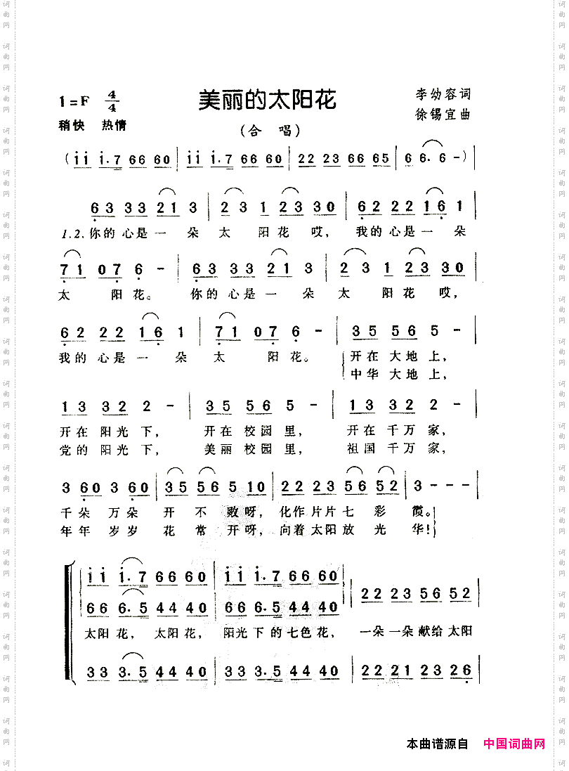 美丽的太阳花