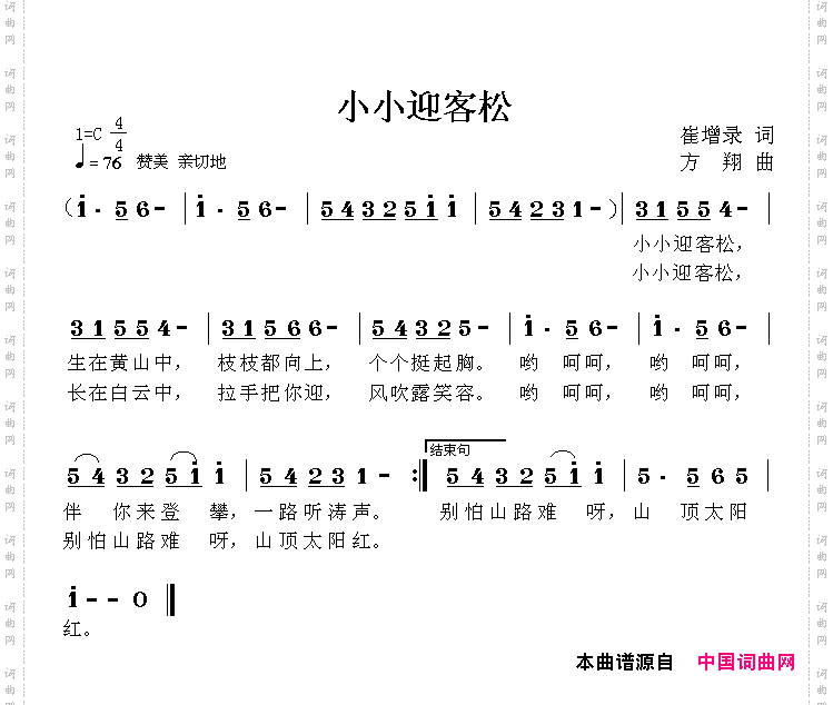 小小迎客松