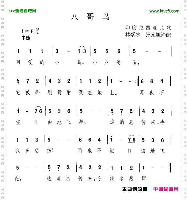 八哥鸟[印尼]