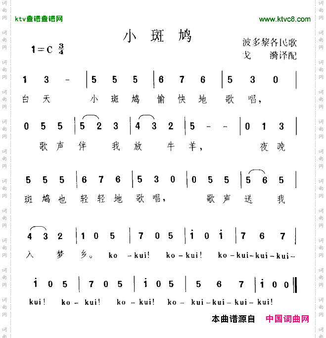 小斑鸠[波多黎各]