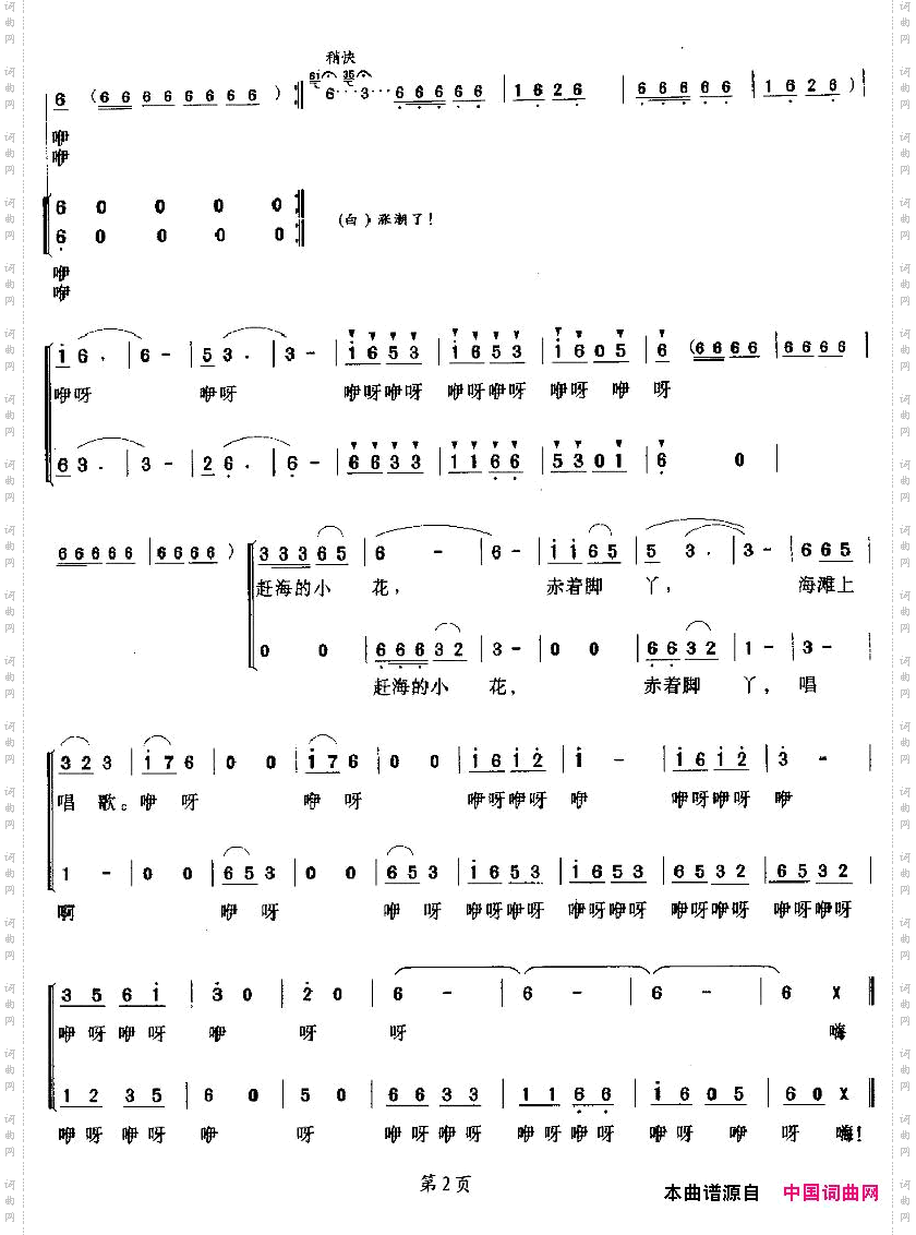 赶海的小花合唱