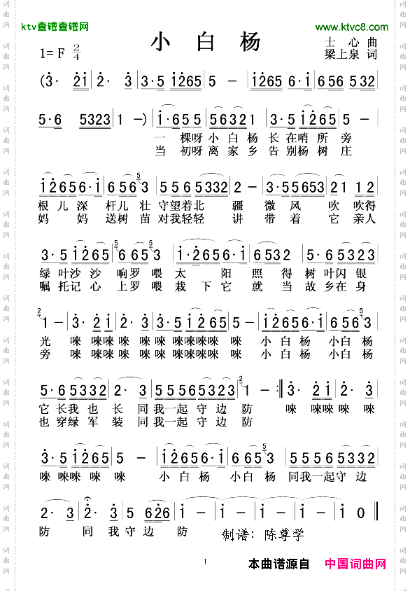 小白杨