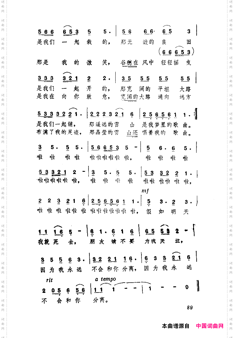 假如明天我就死去