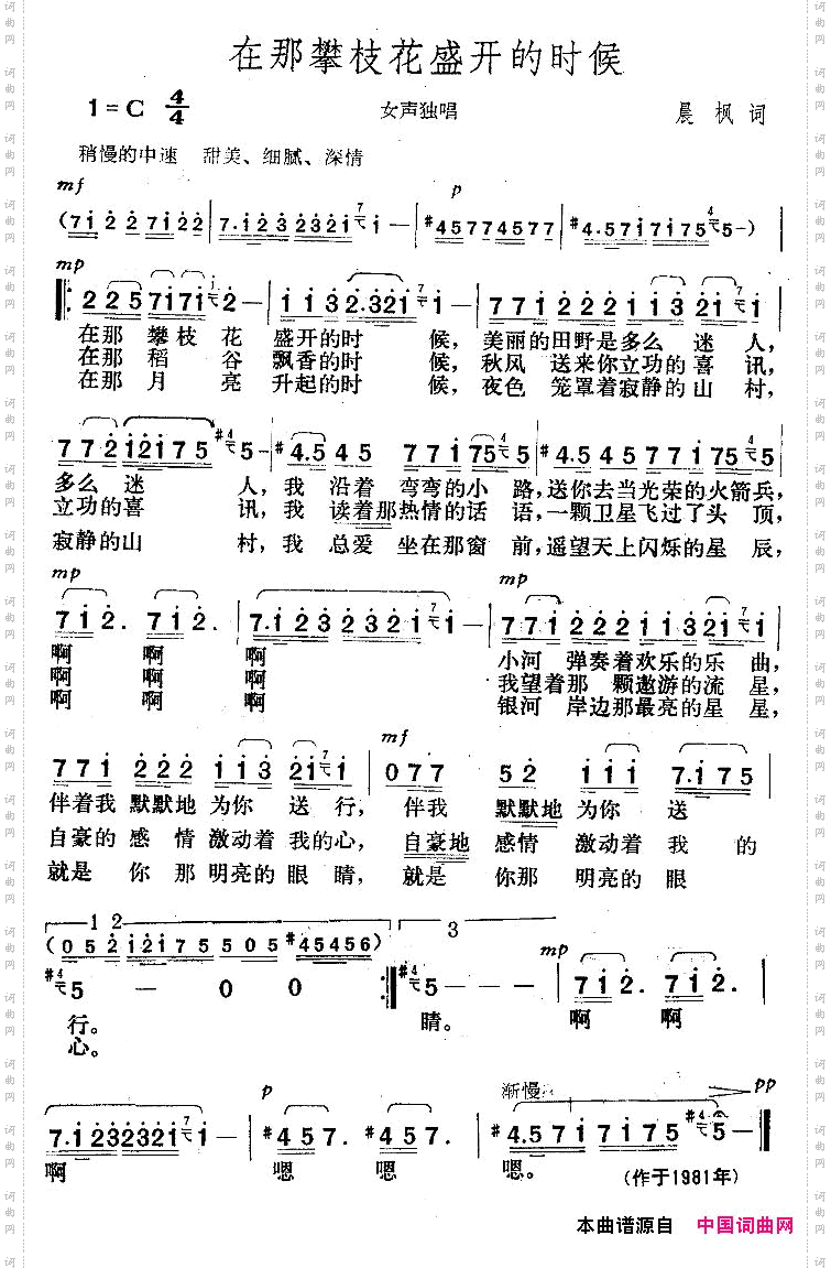 在那攀枝花盛开的时候