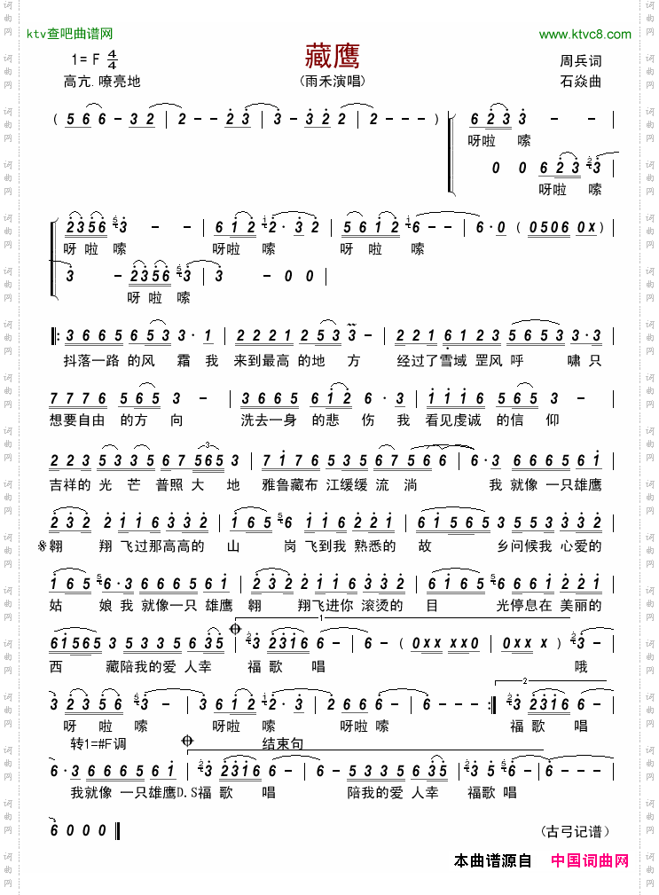 藏鹰