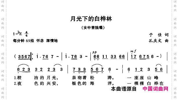 月光下的白桦林