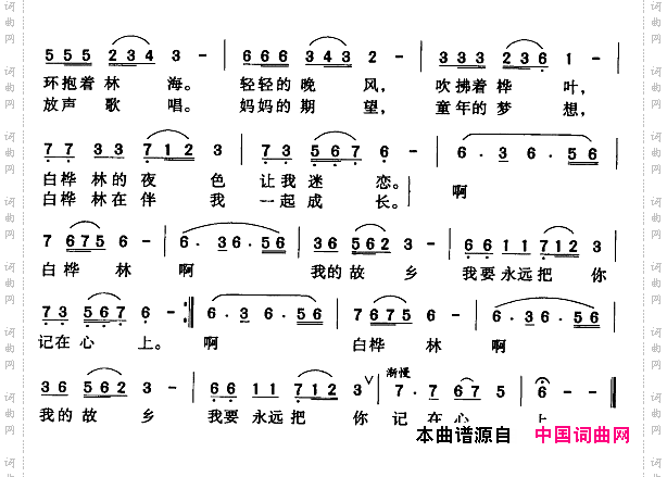 月光下的白桦林
