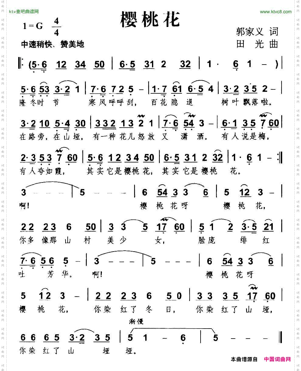 樱桃花