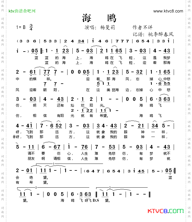 海鸥