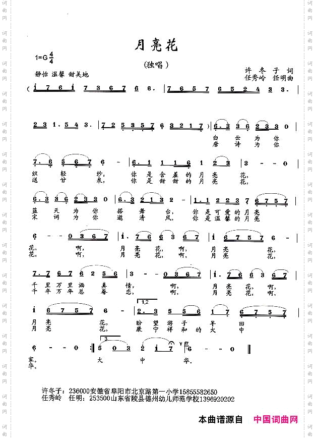 月亮花许冬子词任秀岭曲